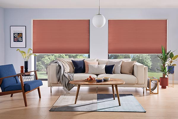 Pleated Blinds